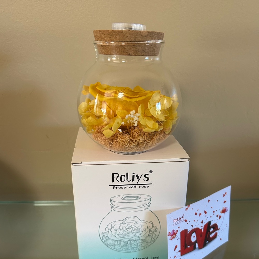 NWT Roliys Preserved/Eternal Rose